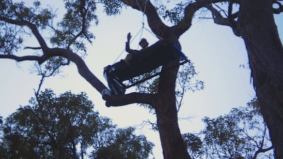 Army reservist one man tree-sitting protest in South West