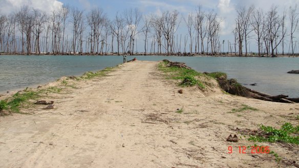 Tsunami devastation on Nancowrie Island, in the Nicobars
