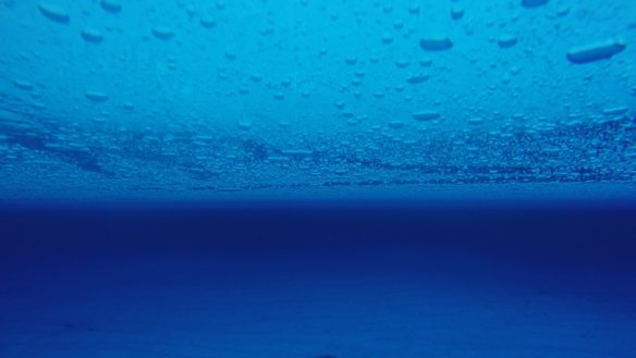 Underwater picture of englacial lake 4m below the surface of the Roi Baudouin ice shelf, East Antarctica.