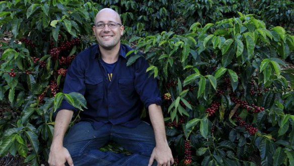 Roasting hot: Toby Smith now has his own plantation in Panama.