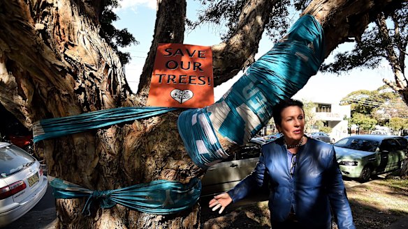 Sydney lord mayor Clover Moore with one of the trees due for removal in Sydney Park.
