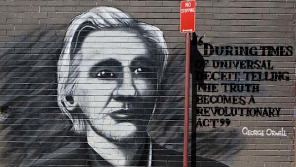 Immortalised ... an image of Julian Assange has appeared in a Stanmore laneway.