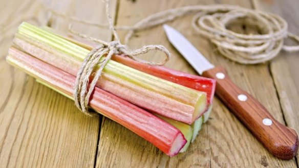Again and again: Plants such as rhubarb can be carefully cut, divided and replanted.