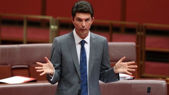 Urged senators to reconsider their vote: Greens Senator Scott Ludlam. 