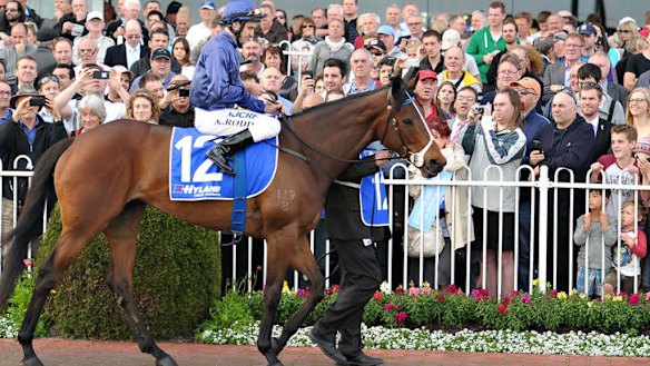 The jury is still out but Kavanagh's mare can bounce back