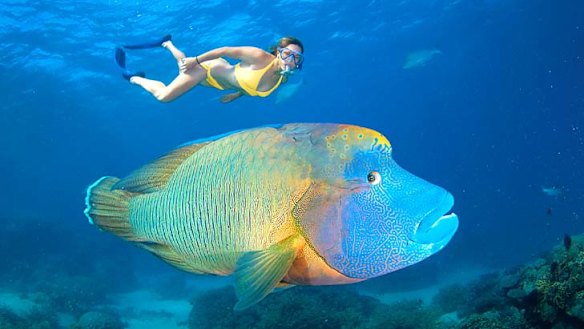 World's largest marine reserve still unlikely to please conservationists