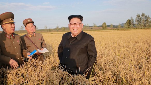This undated photo distributed by the North Korean government on September 30, 2017, shows North Korean leader Kim Jong Un, at a farm in North Korea.