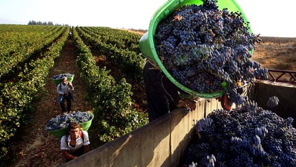 The most dangerous wine terroir on earth: Lebanon's Bekaa Valley.