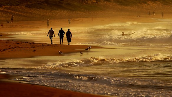 Warm waters may be welcomed by beachgoers but the impacts beneath the waves are not so good.