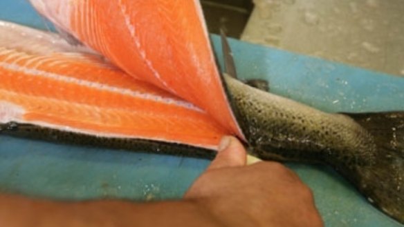 Wasabi-pickled salmon