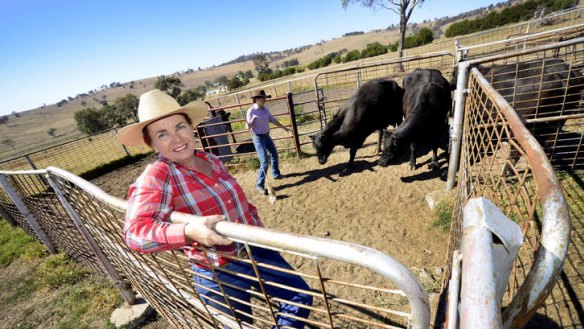 Increasing demand: Sheri Fogarty and her daughter Kristy, on the family cattle farm, Tressa Vale, at Woolbrook, hope to be certified organic by Chinese authorities.
