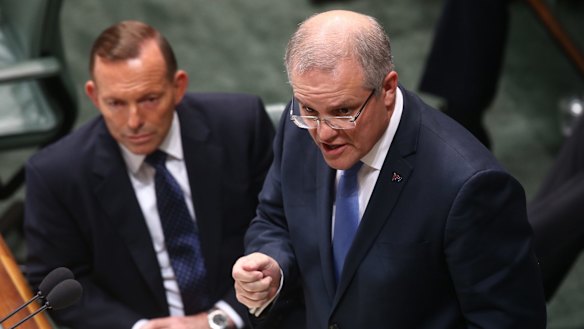 Prime Minister Tony Abbott and Social Services Minister Scott Morrison during question time  on Tuesday.