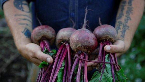 Beet it: The Daylesford Macedon Produce Harvest Festival will be a chance to get your hands dirty.