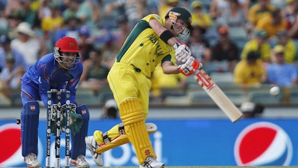 Smash hit: Australia's David Warner.