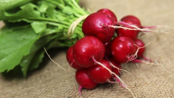 Fast grower: Radishes are perfect for quick and easy summer gardening.