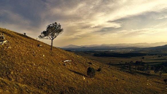 Inland regions of eastern Australia tend to cop drier and hotter than average temperatures in El Nino years.