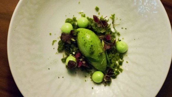 Evergreen with sorrel, lemon basil, mint, shiso and parsley served at LuMi Dining in Pyrmont.