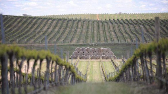 On high: The Cumulus Wines estate is noted for its chardonnays.