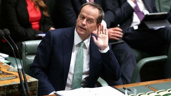 Opposition Leader Bill Shorten during QT. Photo: Alex Ellinghausen