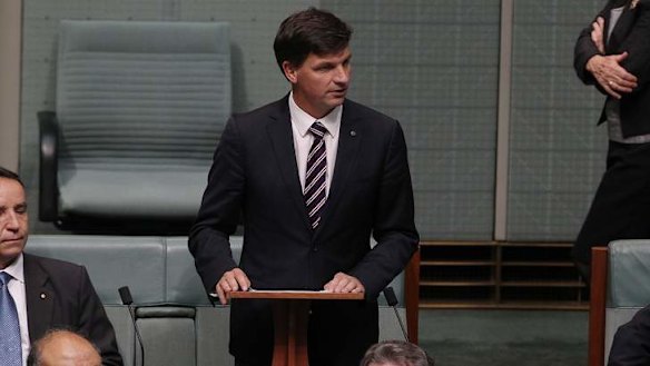 Liberal MP Angus Taylor delivered his maiden speech on Tuesday. Photo: Alex Ellinghausen
