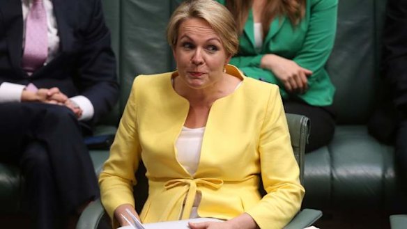Acting Opposition Leader Tanya Plibersek. Photo: Andrew Meares