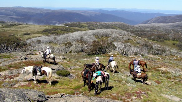 Wide open spaces ... the views across Dinner Plain.