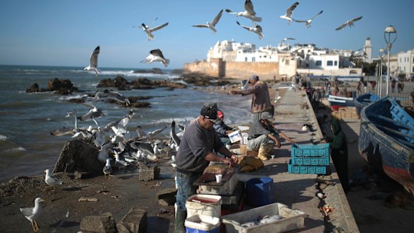 Fishermen prepare their goods for customers in the port city of Essaouira, Morocco. The country is facing an increase of Europe-bound migrant traffic.
