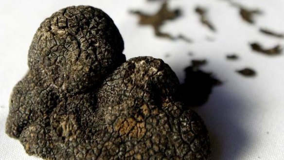Flavour boost: Truffles are best at this time of year.