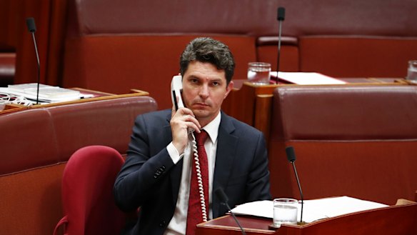 Scott Ludlam resigned from the Senate in July.