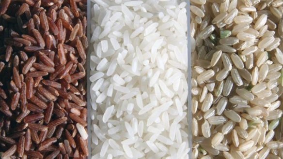 Cooked rice can be a breeding ground for bugs, depending on how it is stored.