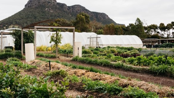 The kitchen garden at the Royal Mail Hotel in the Grampians.