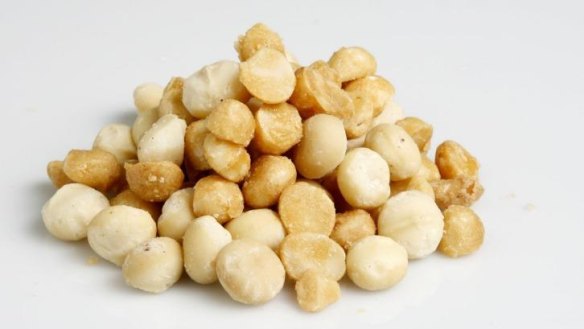 Macadamia was one of the few Australian ingredients the Noma team could find in supermarkets.