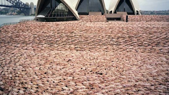 Unveiled ... 'The Base' by Spencer Tunick Sydney 1, 2010 c-print mounted between plexi 71 x 89.25 in / 180.34 x 226.7 cm.