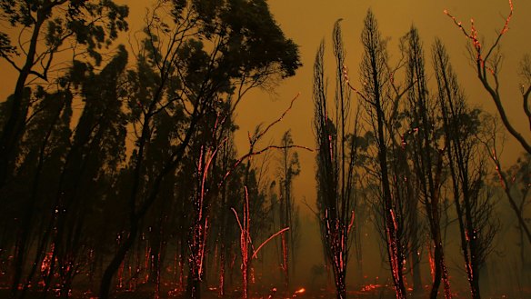 A bushfire om the NSW central tablelands was one of many that occurred on a day classified as catastrophic.
