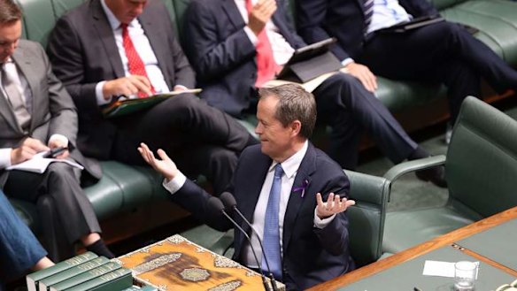 Opposition Leader Bill Shorten during question time. Photo: Andrew Meares
