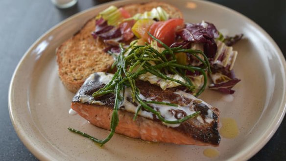 Seared blackberry and lime cured ocean trout.