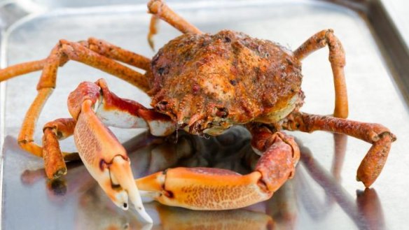 Snow crab will be an ingredient in Redzepi's Sydney kitchen mix.