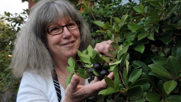 Berry nice: Dianne McGowan in her kitchen garden at Red Hill with her strawberry guava tree.