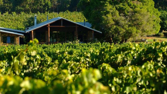 A paean to sustainable farming: The restaurant looks onto lush vineyards.