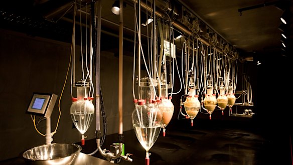 In one end, out the other: Wim Delvoye's Cloaca at MONA.