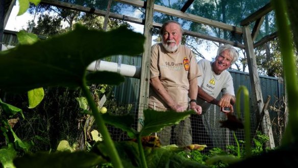 Neil Manton and Michael Fawcett, in Manton's Holt garden: The mixed growing season kept competitors on their toes.