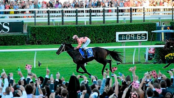 Black Caviar makes history at Royal Randwick, winning her 25th successive race and 15th Group 1 in the TJ Smith Stakes.