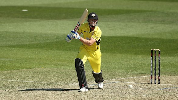 Injury concern: Shaun Marsh may not be fit for the first Test.