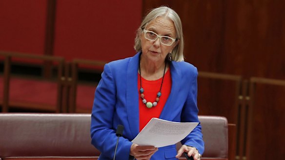 Greens senator Lee Rhiannon has slammed the proposal for exacerbating disunity in the party and has called for it to be withdrawn.