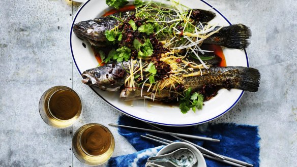 Steamed Murray Cod with red chilli oil.