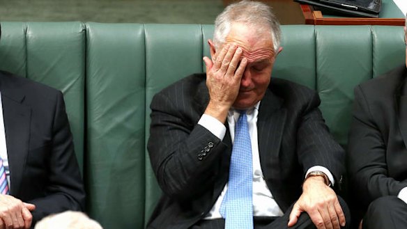 Communications Minister Malcolm Turnbull during QT. Photo: Alex Ellinghausen