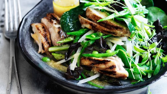 Salad of chargrilled chicken with ginger-miso dressing,