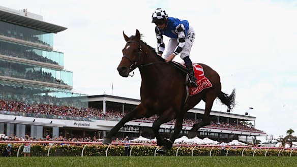 2014 Melbourne Cup winner Protectionist