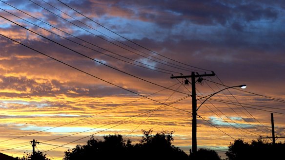 Energy companies and users have identified nearly 700 MW of "demand reserve" capacity they can make available next summer