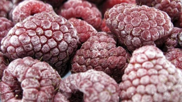 Nanna's frozen berries have been sent to the United States and Italy to test if raspberries may be the cause of the hepatitis A virus outbreak.